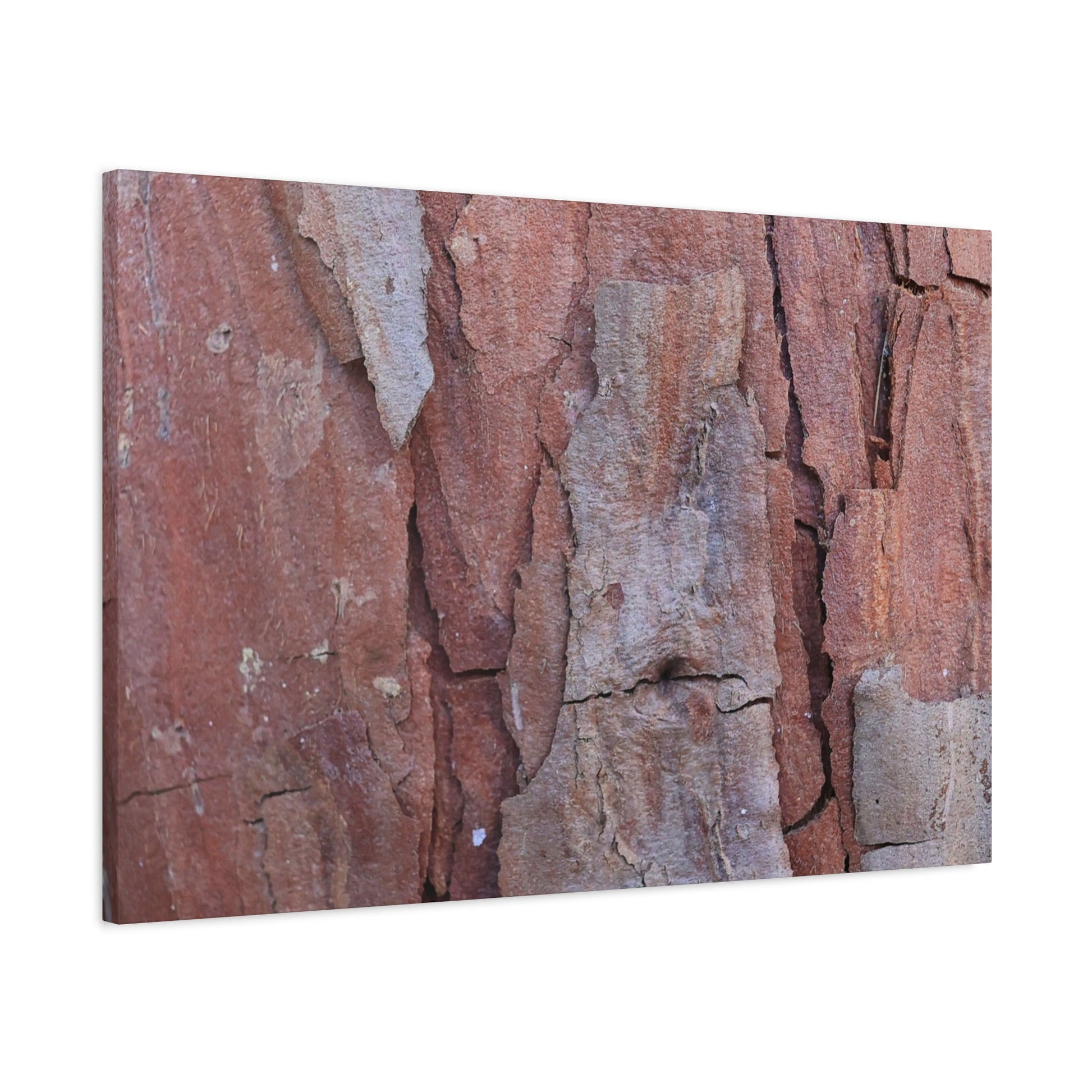 Fractal Rust - Unique Frameless Canvas Wall Art - Art By Earth