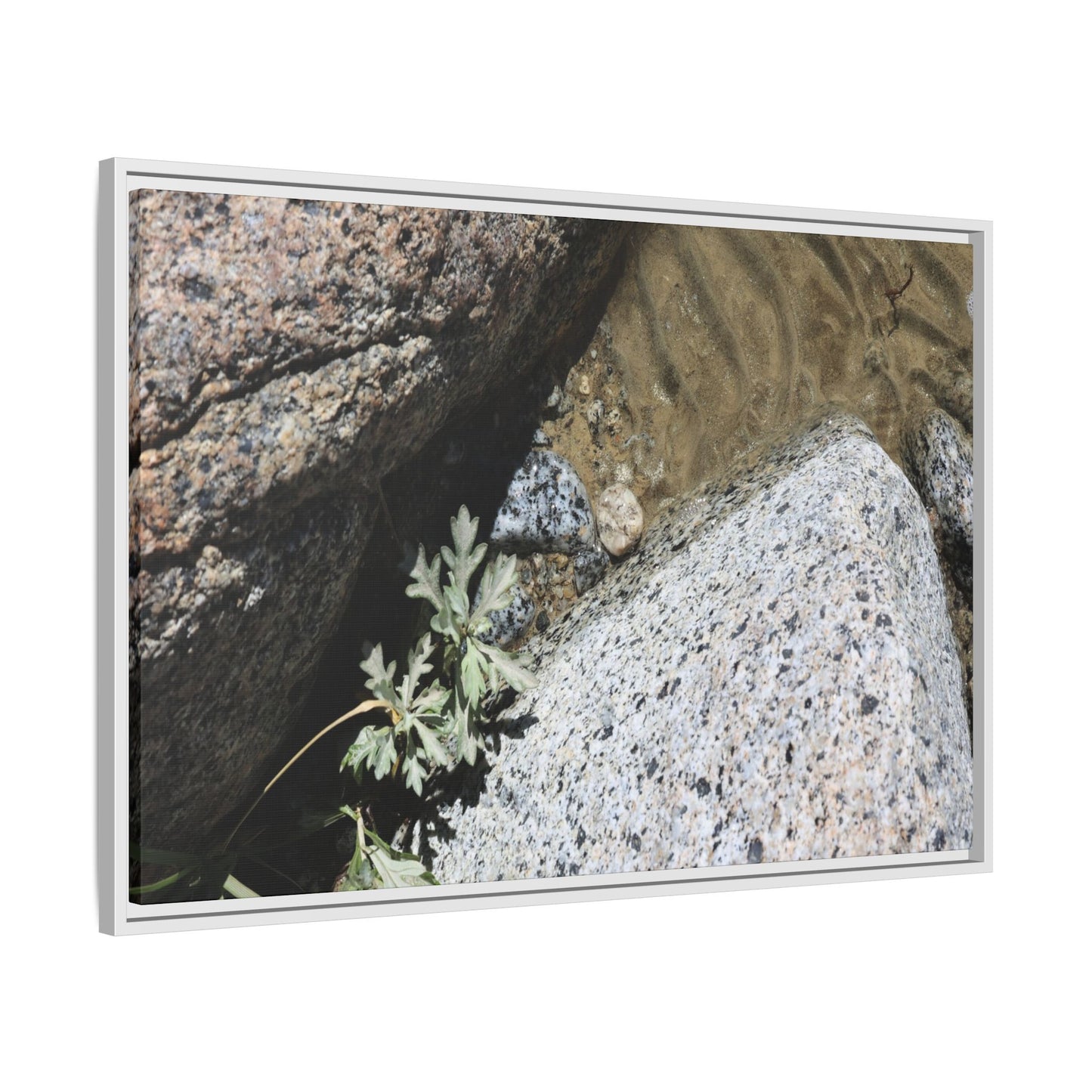 Resilience in Stone - Unique Stretched Canvas Wall Art - Art By Earth