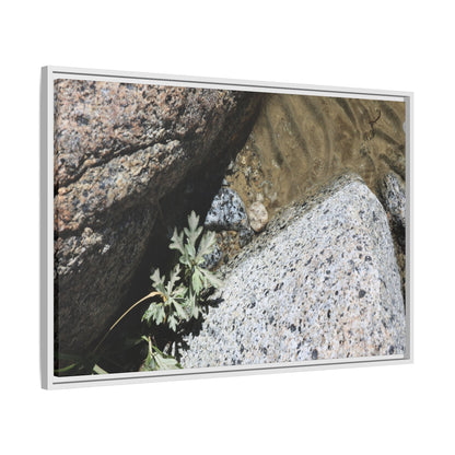 Resilience in Stone - Unique Stretched Canvas Wall Art - Art By Earth