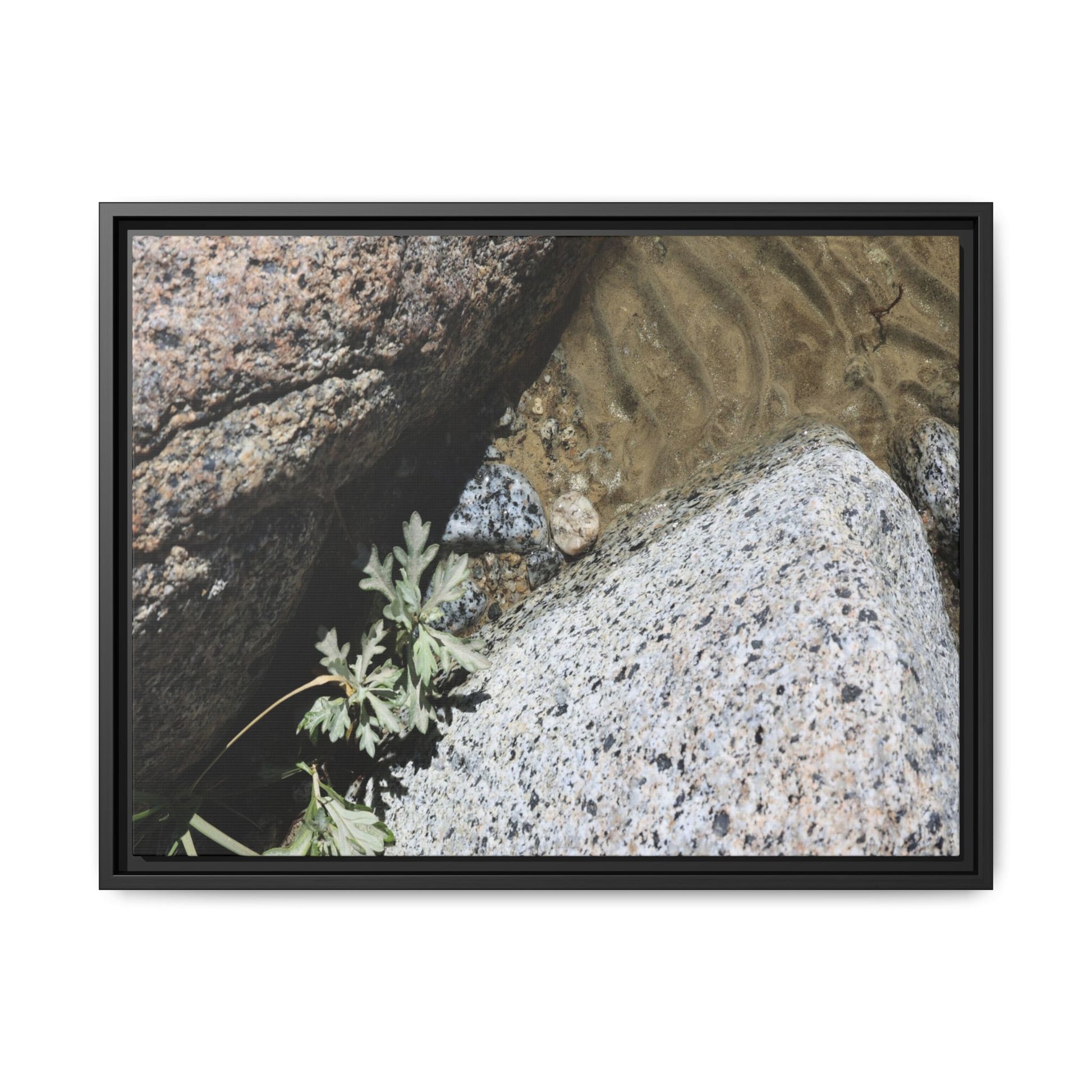 Resilience in Stone - Unique Stretched Canvas Wall Art - Art By Earth