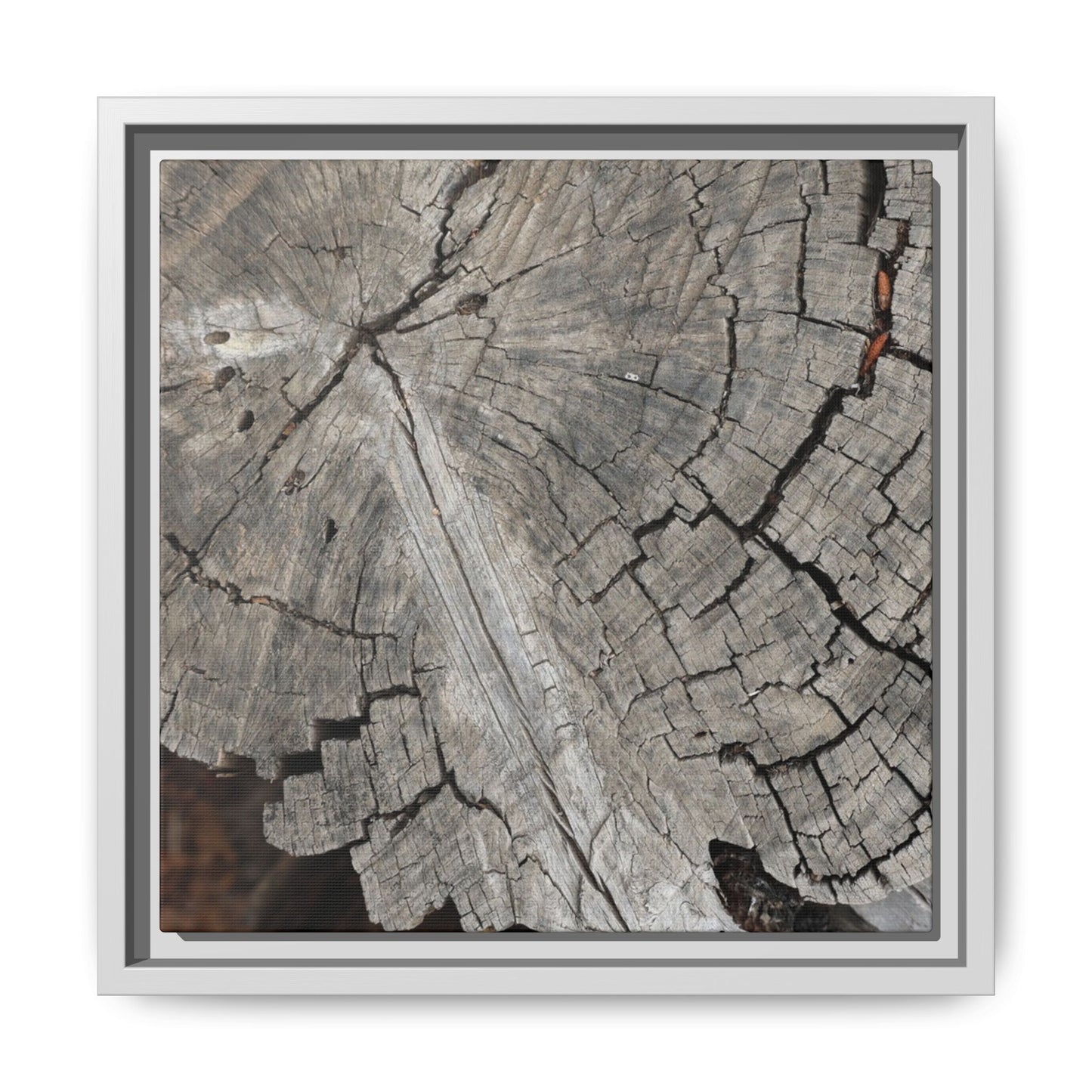 Time's Signature - Unique Stretched Canvas Wall Art - Art By Earth