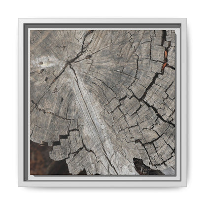 Time's Signature - Unique Stretched Canvas Wall Art - Art By Earth