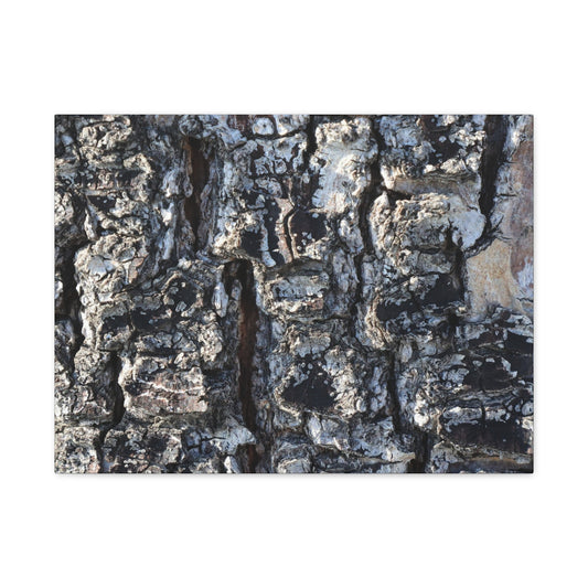 Textured Whispers of the Ancient Tree - Unique Frameless Canvas Wall Art - Art By Earth