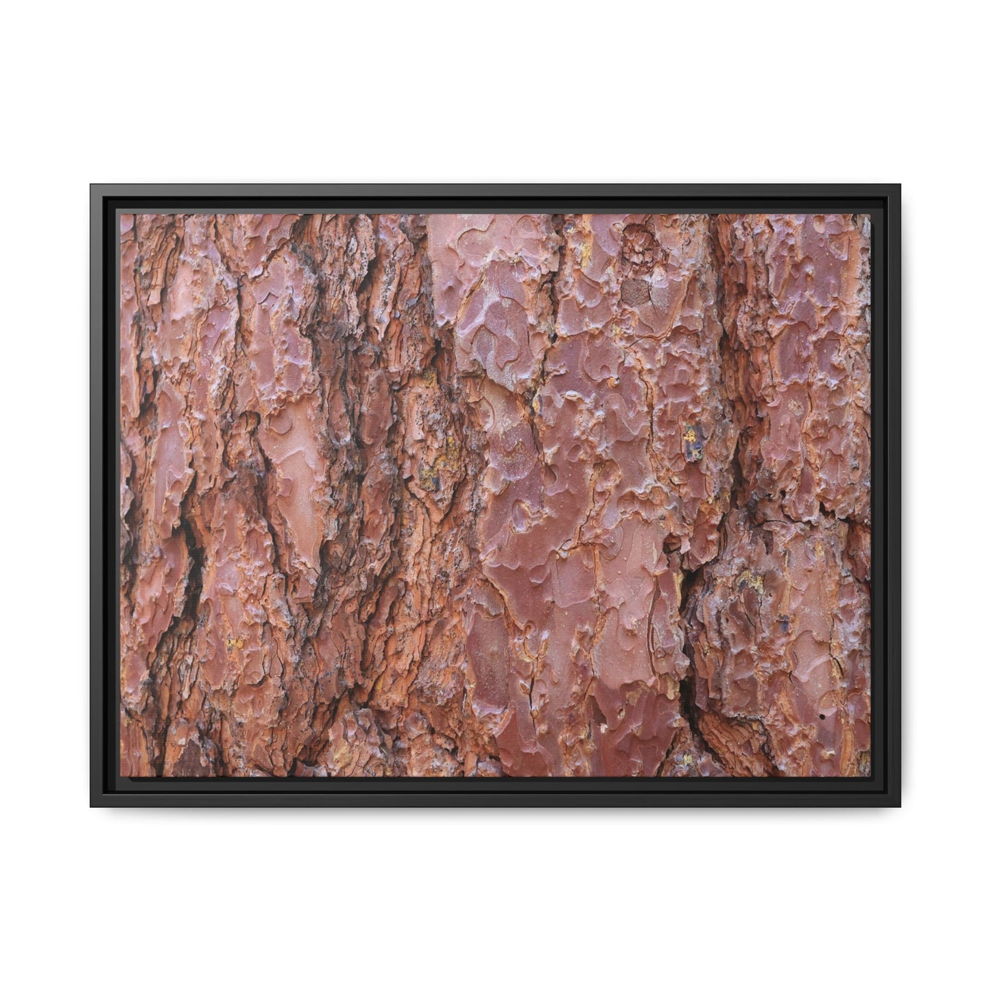 Russet Ridges - Unique Stretched Canvas Wall Art - Art By Earth