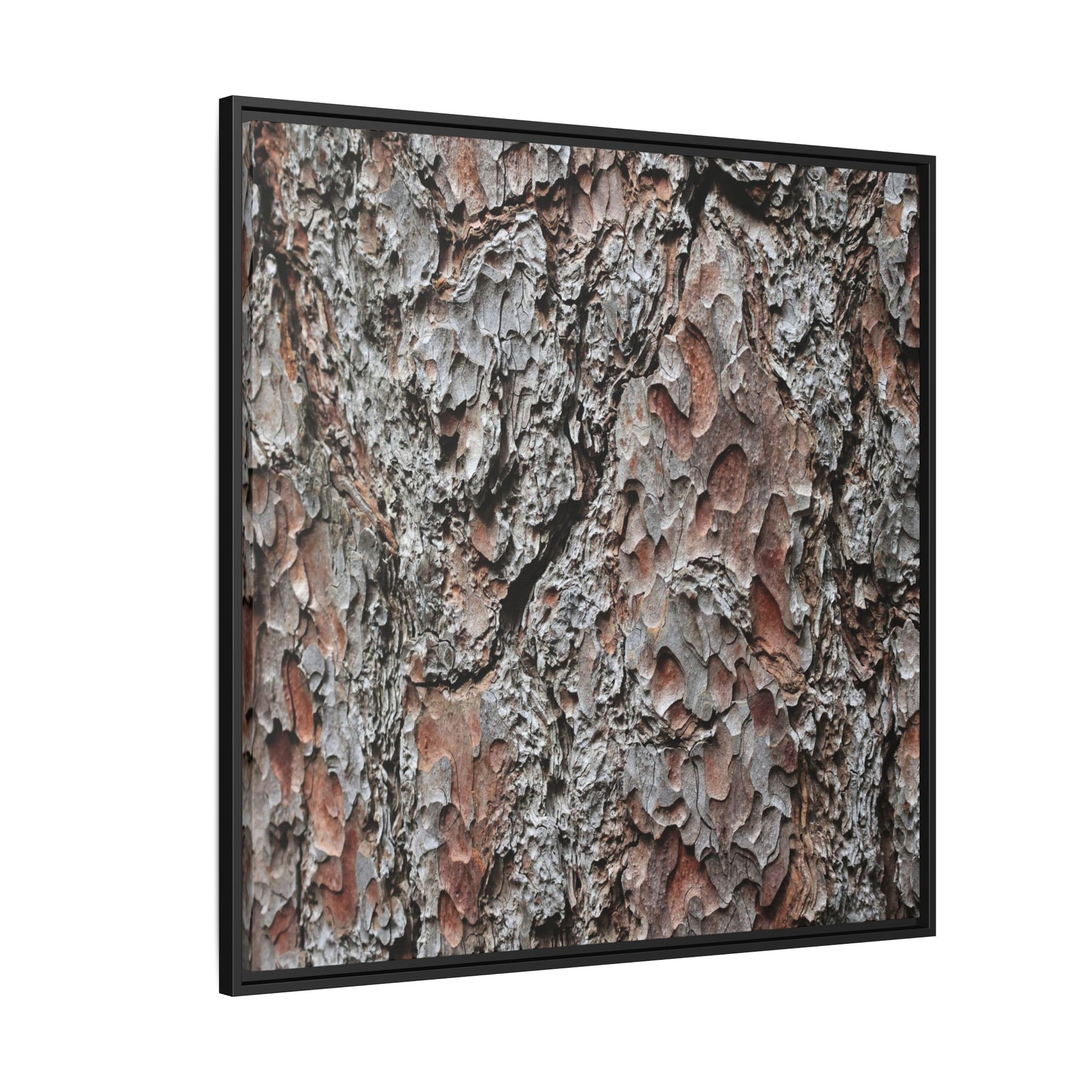 Bark Texture Symphony - Unique Stretched Canvas Wall Art - Art By Earth