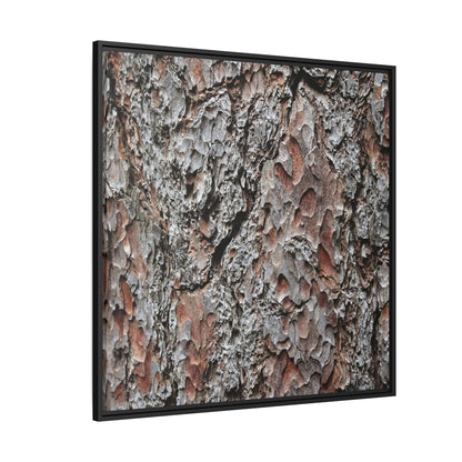 Bark Texture Symphony - Unique Stretched Canvas Wall Art - Art By Earth