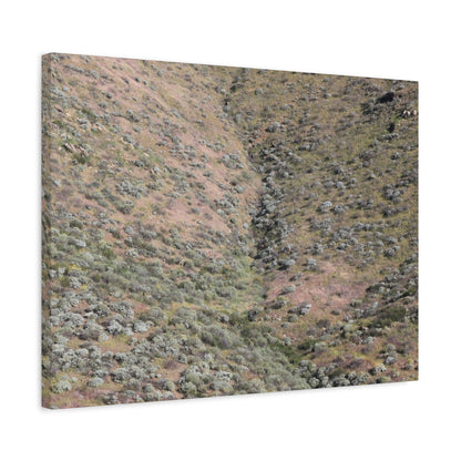 Desert Hillside - Unique Frameless Canvas Wall Art - Art By Earth