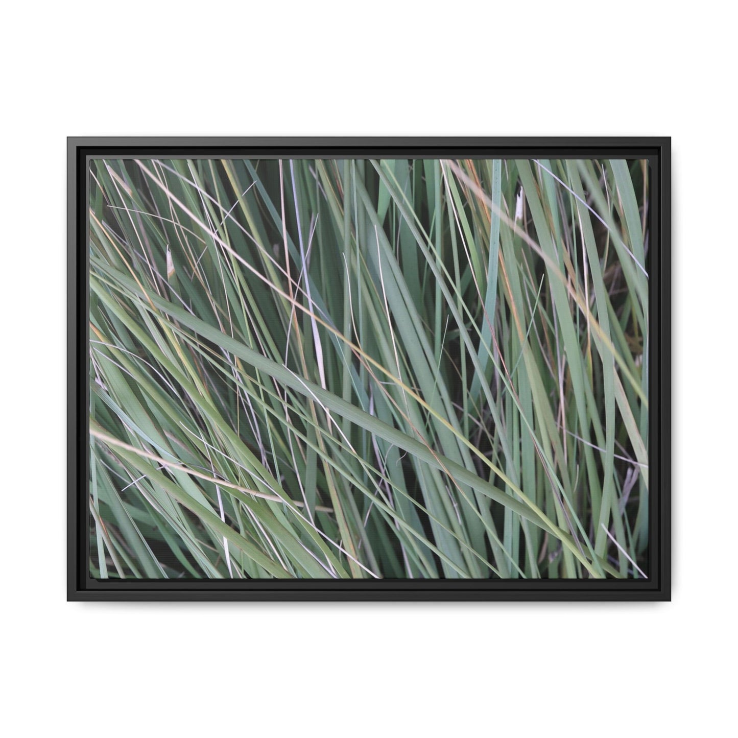 Grassland Symphony - Unique Stretched Canvas Wall Art - Art By Earth