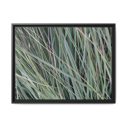 Grassland Symphony - Unique Stretched Canvas Wall Art - Art By Earth