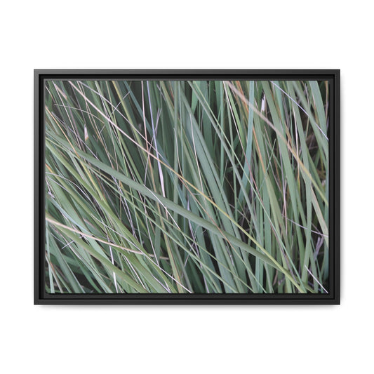 Grassland Symphony - Unique Stretched Canvas Wall Art - Art By Earth