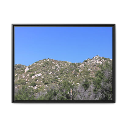 Sparse Vegetation - Unique Stretched Canvas Wall Art