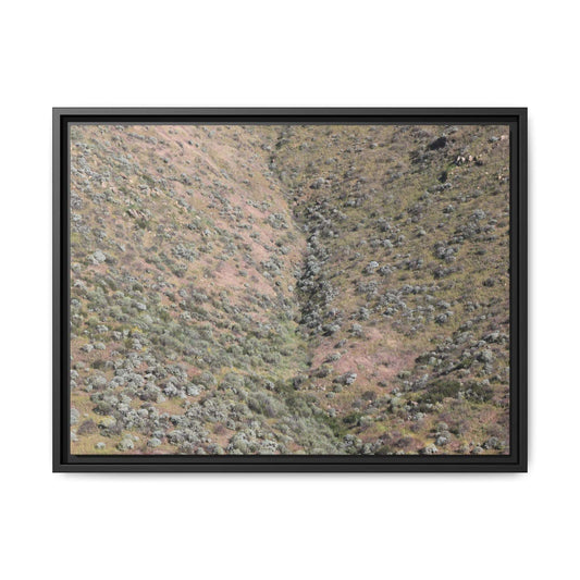 Mountain Slope with Desert Vegetation - Unique Stretched Canvas Wall Art - Art By Earth