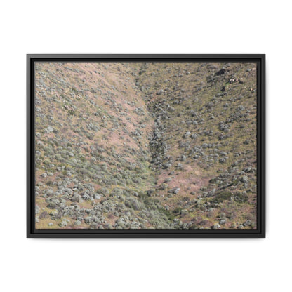 Mountain Slope with Desert Vegetation - Unique Stretched Canvas Wall Art - Art By Earth