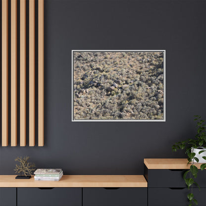 Arid Terrain Study - Unique Stretched Canvas Wall Art - Art By Earth