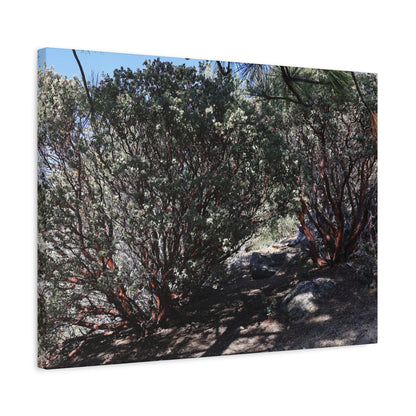 Desert Blooms - Unique Frameless Canvas Wall Art