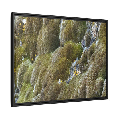 Moss Symphony - Unique Stretched Canvas Wall Art