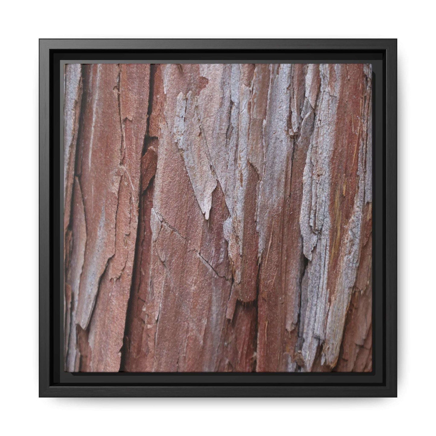 Time and Decay - Unique Stretched Canvas Wall Art - Art By Earth