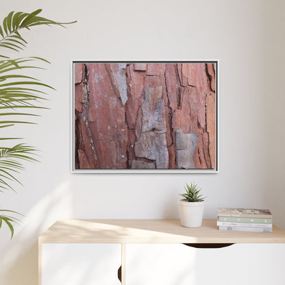 Peeling Bark - Unique Stretched Canvas Wall Art - Art By Earth