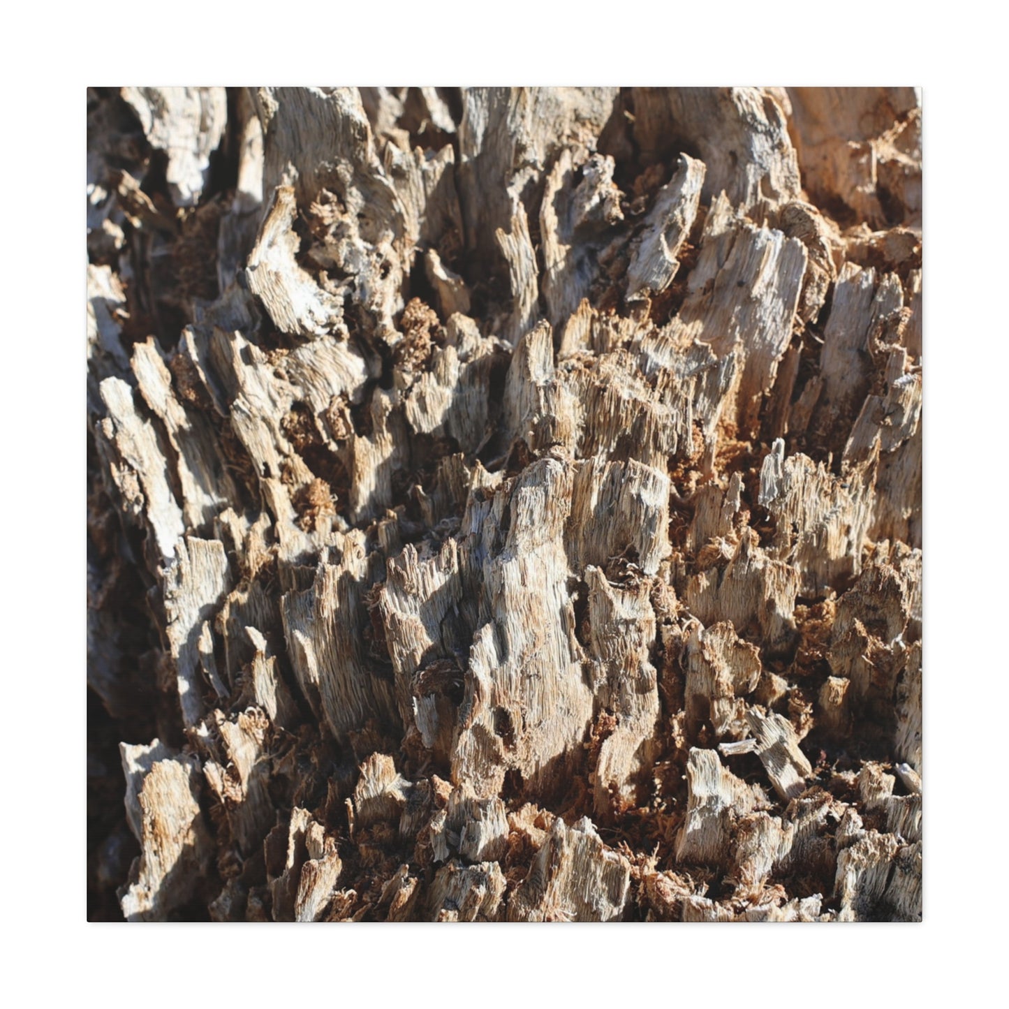 Decaying Bark Symphony - Unique Frameless Canvas Wall Art