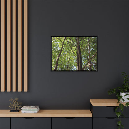 Forest Branches - Unique Stretched Canvas Wall Art