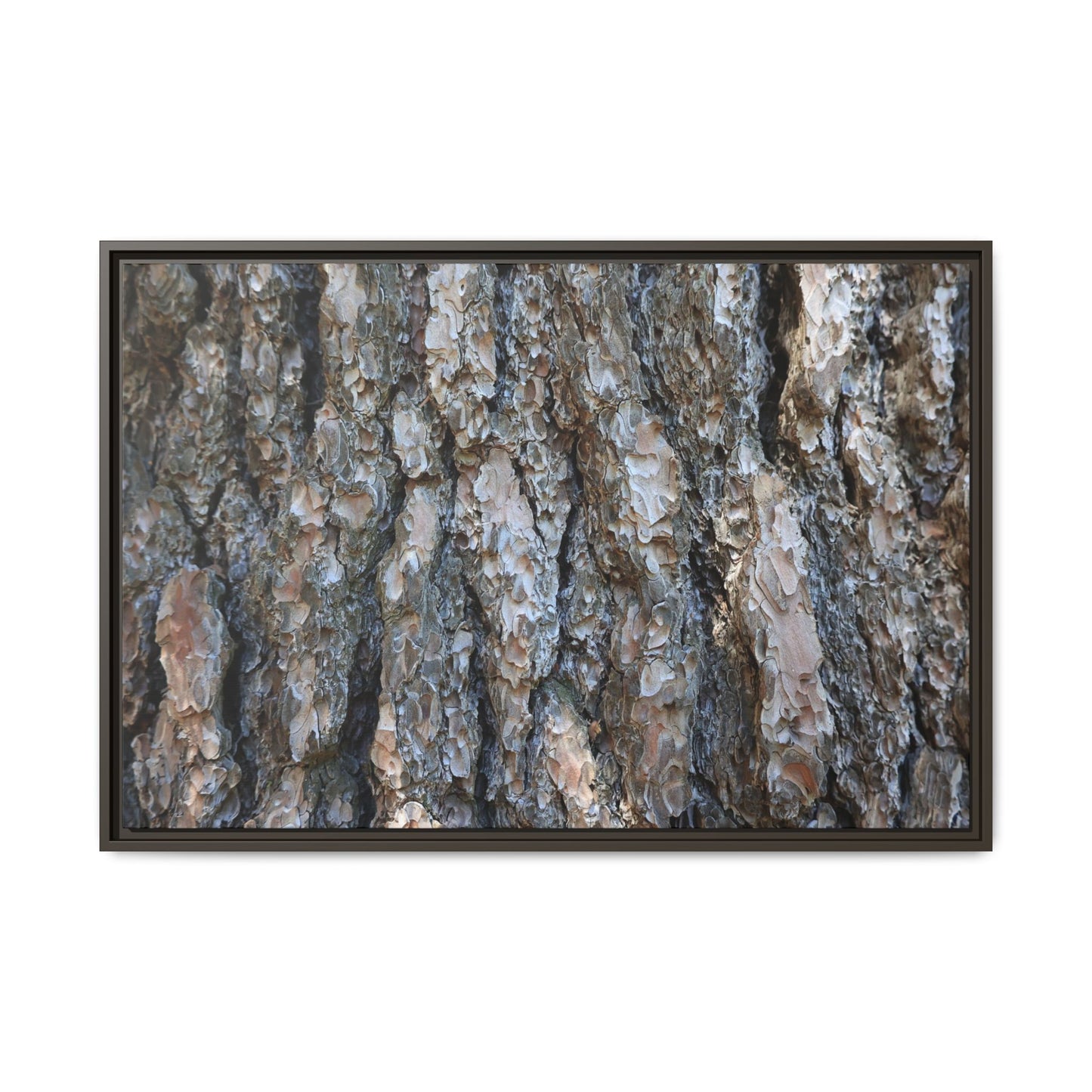 Bark Whispers - Unique Stretched Canvas Wall Art - Art By Earth