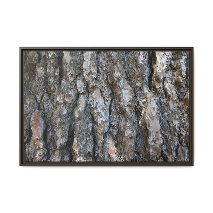 Bark Whispers - Unique Stretched Canvas Wall Art - Art By Earth