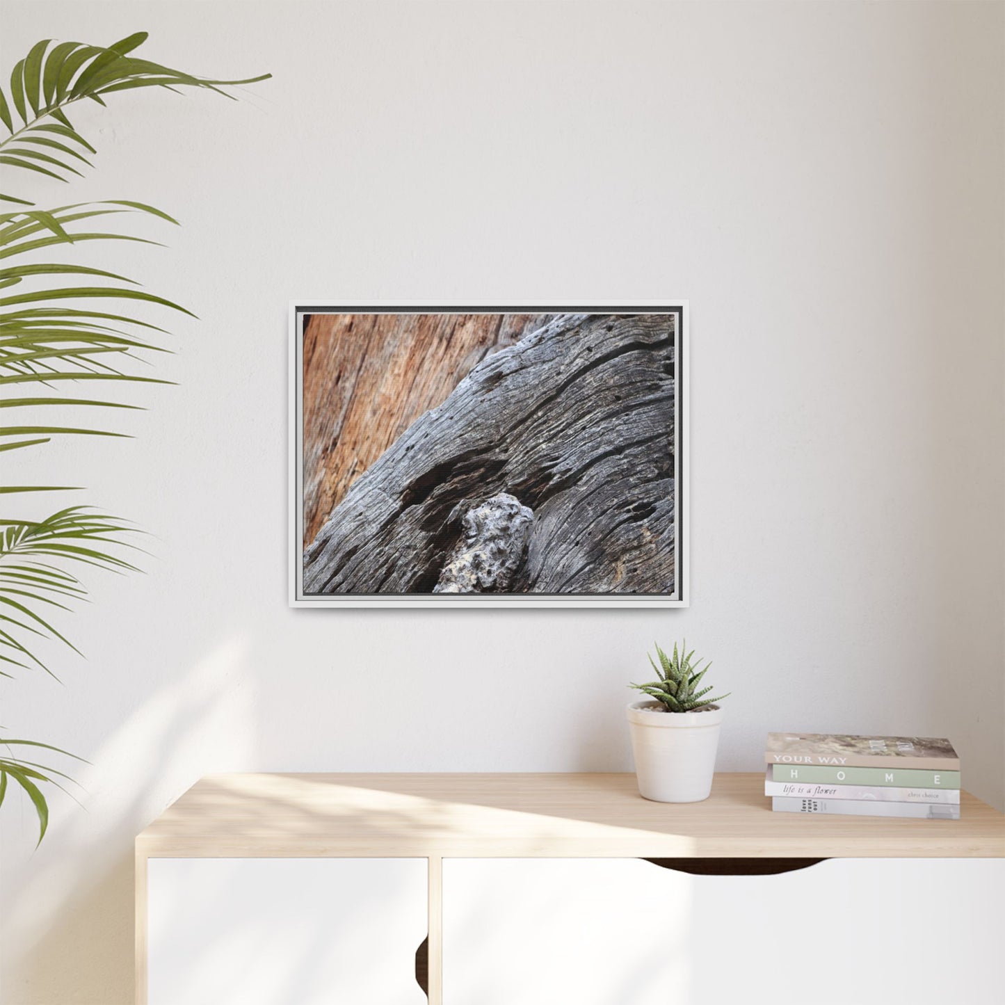 Time's Mark on Timber - Unique Stretched Canvas Wall Art - Art By Earth