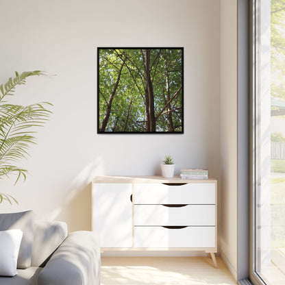 Forest Branches - Unique Stretched Canvas Wall Art