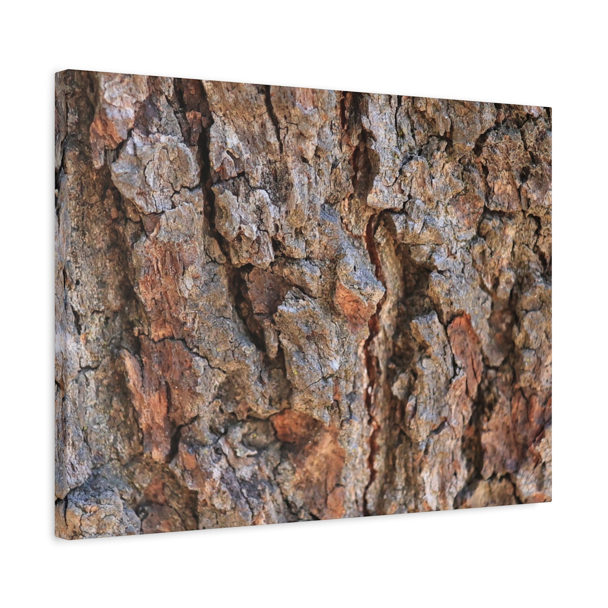 Roots of Time - Unique Frameless Canvas Wall Art - Art By Earth