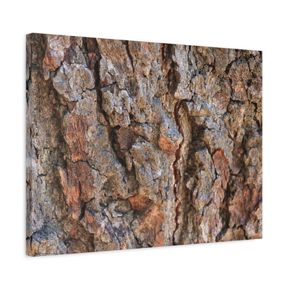 Roots of Time - Unique Frameless Canvas Wall Art - Art By Earth