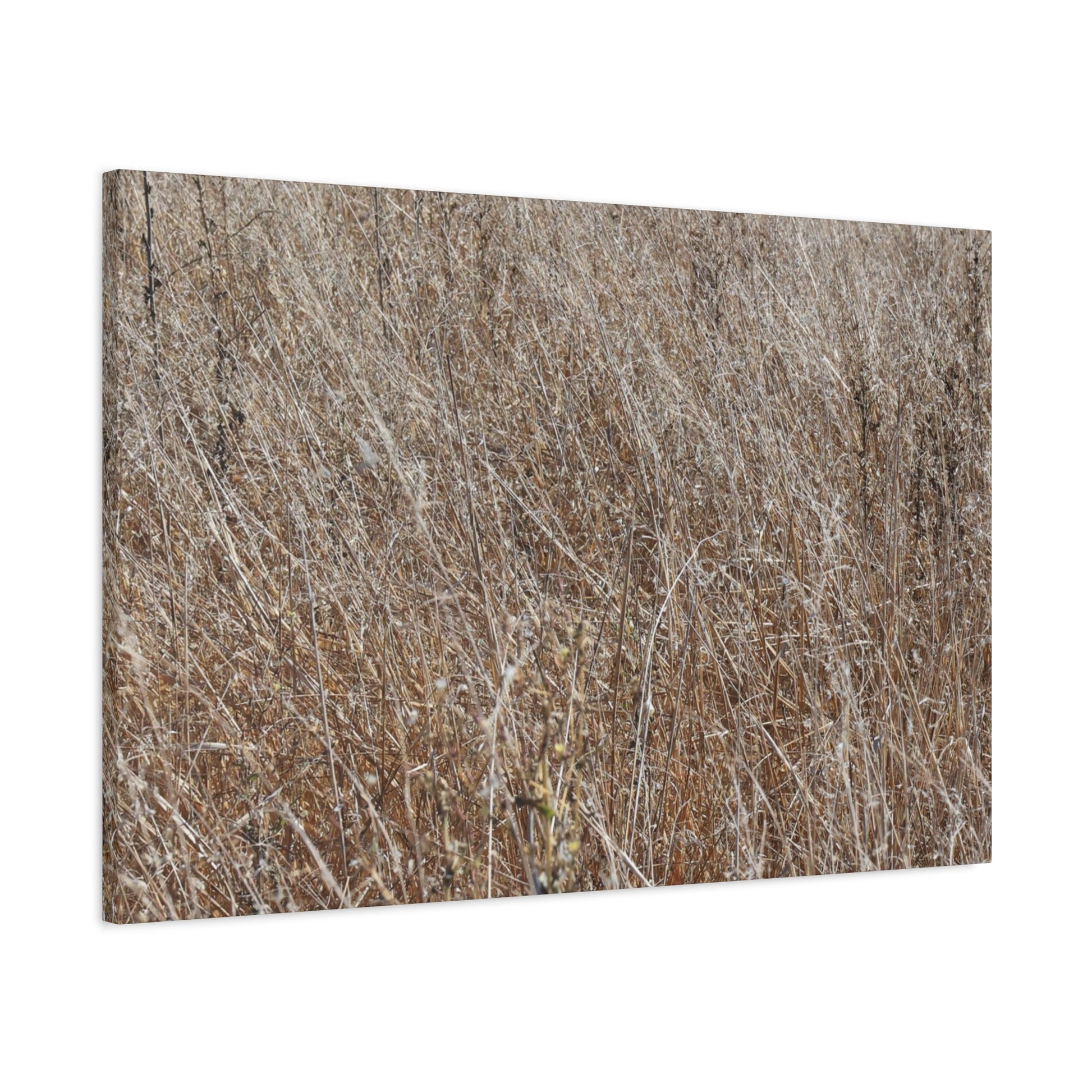 Whispers of Autumn - Unique Frameless Canvas Wall Art - Art By Earth