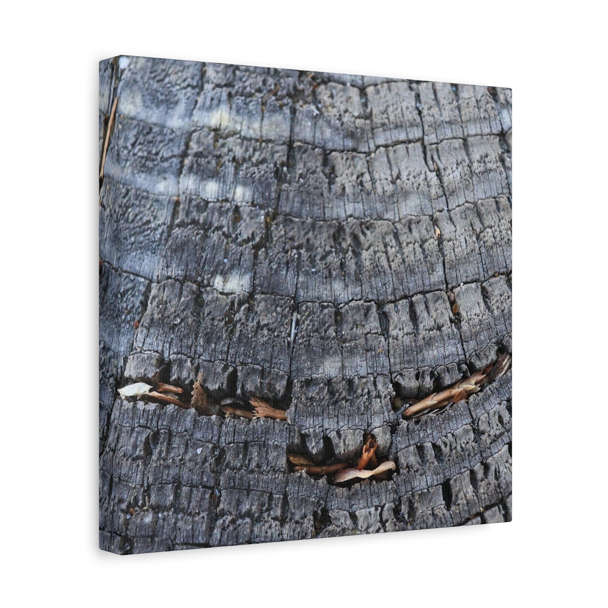 Time's Fractal Whispers - Unique Frameless Canvas Wall Art - Art By Earth