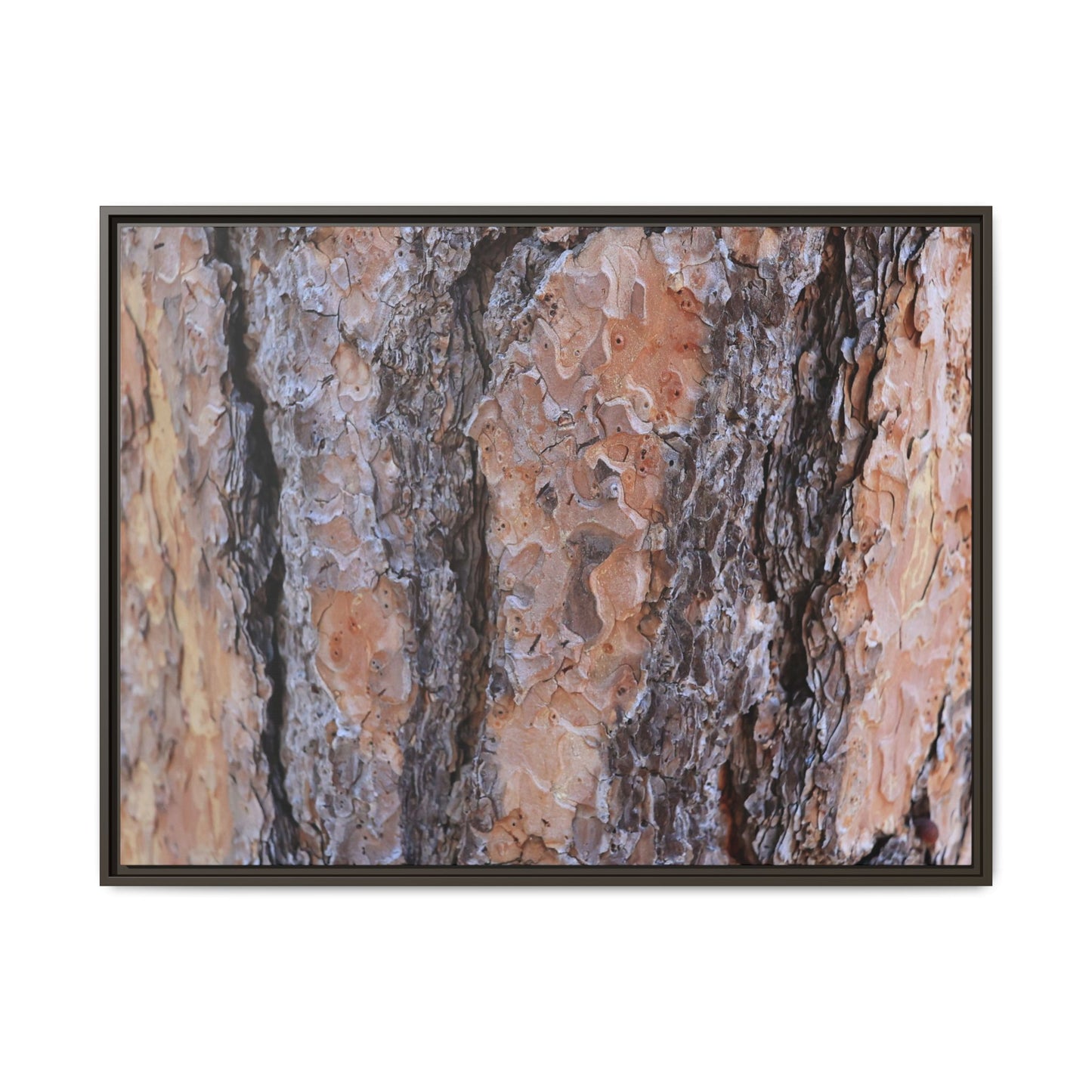 Earthy Embrace - Unique Stretched Canvas Wall Art - Art By Earth