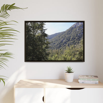 Mountain Valley Forest - Unique Stretched Canvas Wall Art