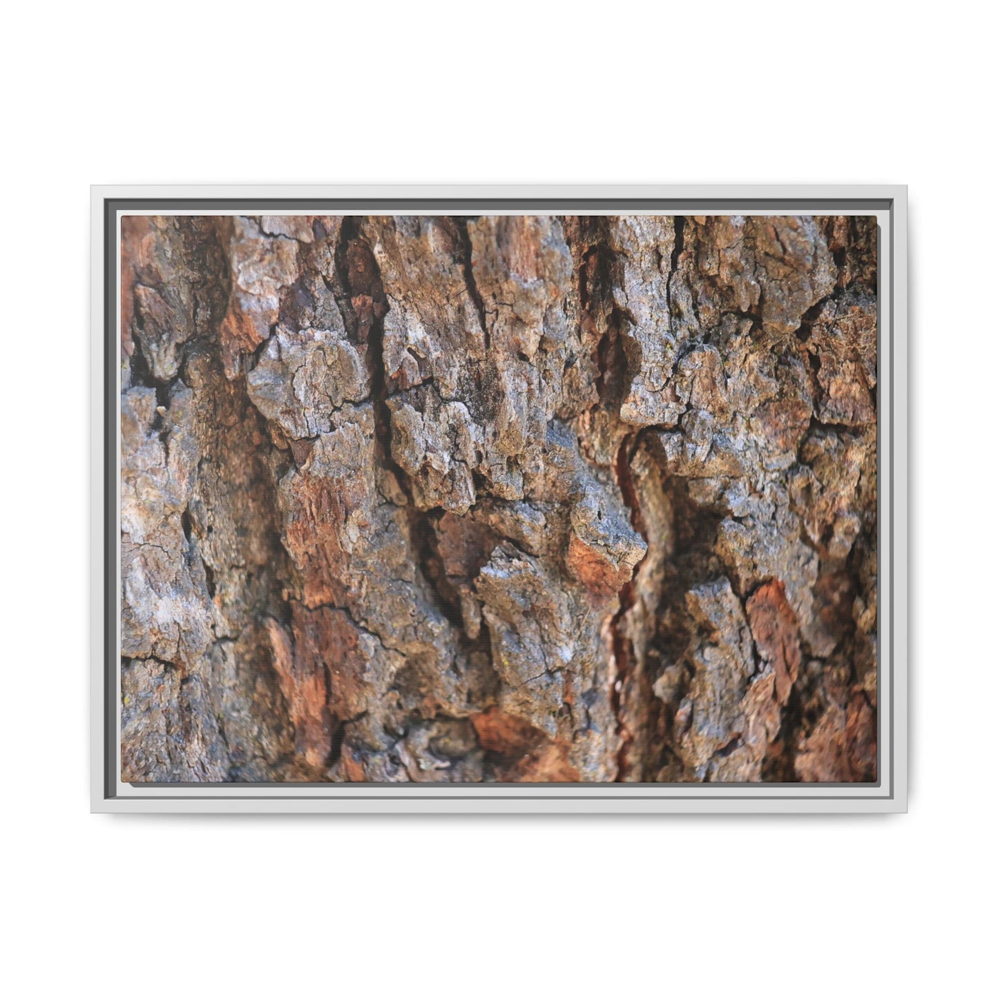 Craggy Textures - Unique Stretched Canvas Wall Art - Art By Earth