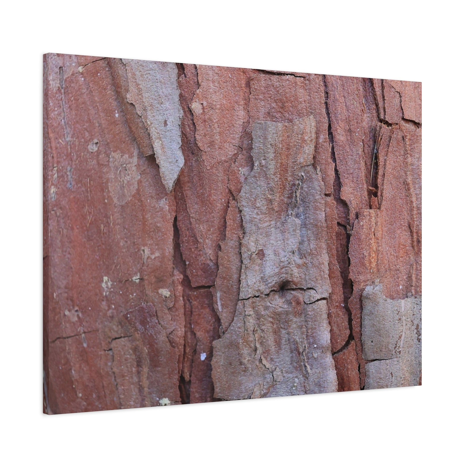 Fractal Rust - Unique Frameless Canvas Wall Art - Art By Earth