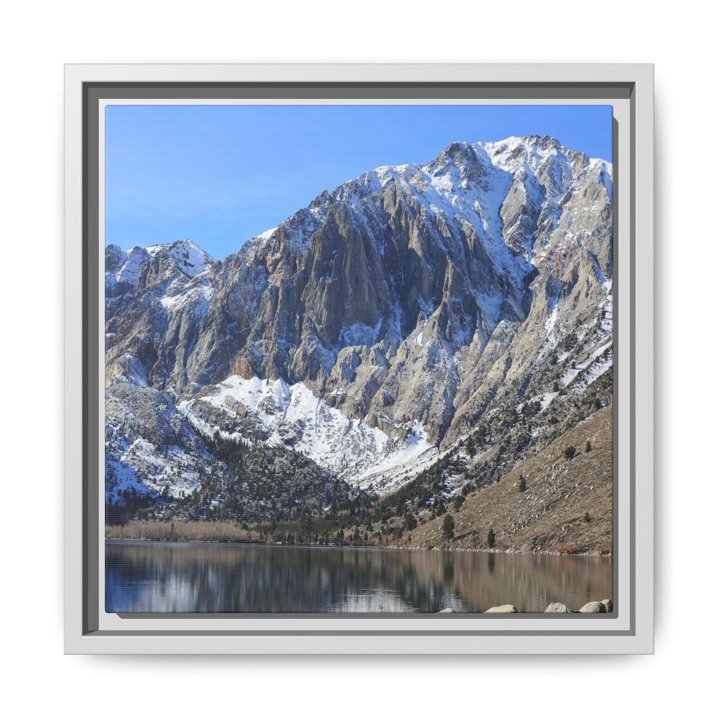 Frozen Reflection - Unique Stretched Canvas Wall Art