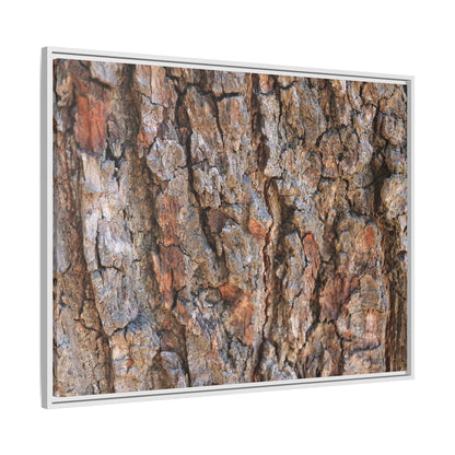 Tree's Timeworn Tale - Unique Stretched Canvas Wall Art - Art By Earth