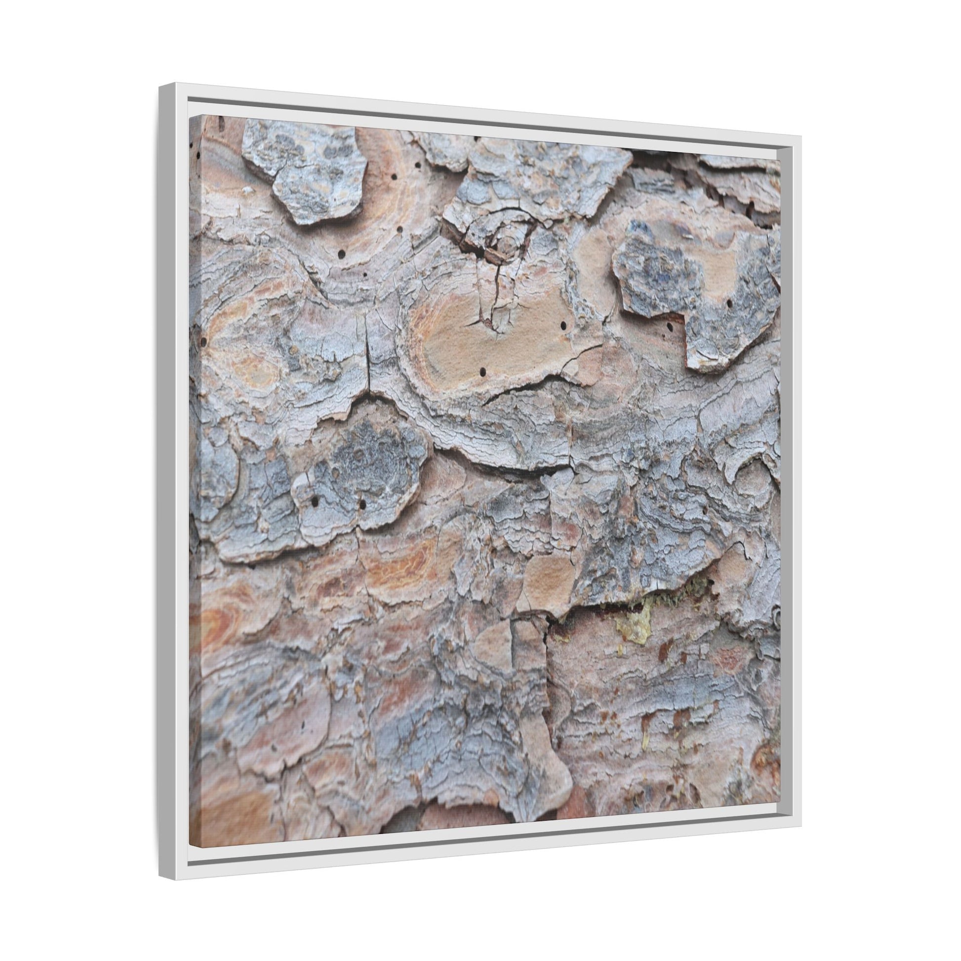 Peeling Memories - Unique Stretched Canvas Wall Art - Art By Earth