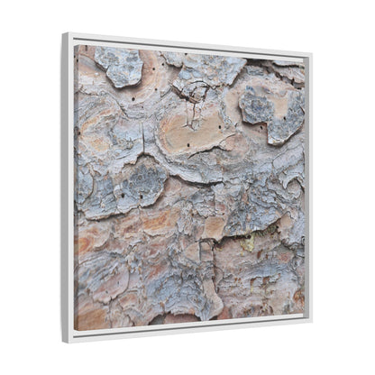 Peeling Memories - Unique Stretched Canvas Wall Art - Art By Earth