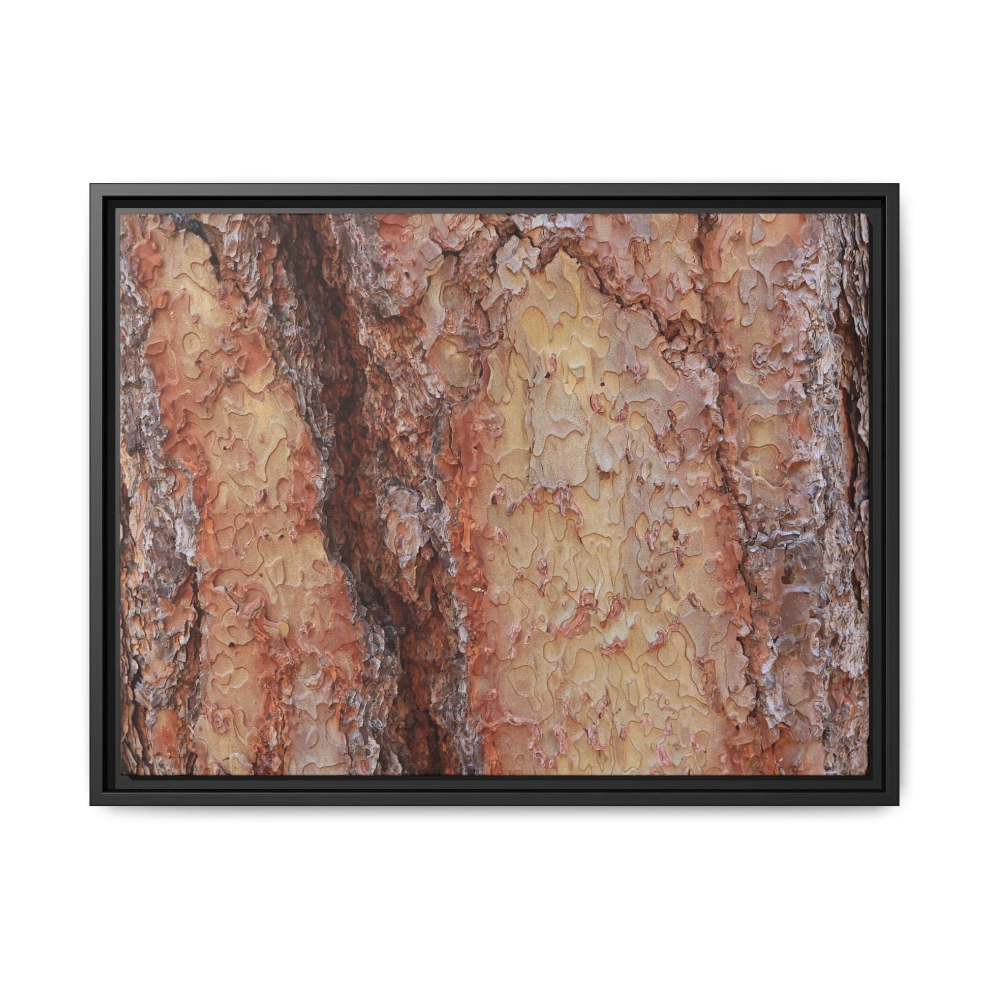 Rustic Rhythms - Unique Stretched Canvas Wall Art - Art By Earth