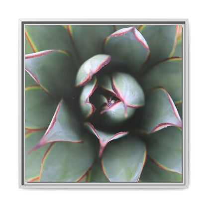 Spiky Elegance - Unique Stretched Canvas Wall Art - Art By Earth