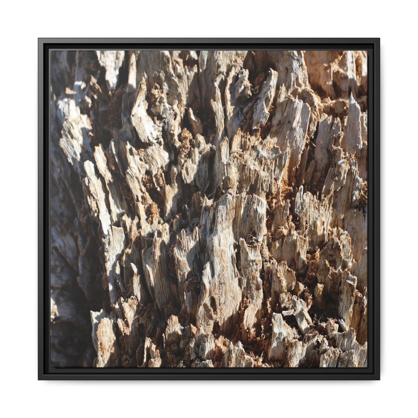 Fractal Fragments - Unique Stretched Canvas Wall Art