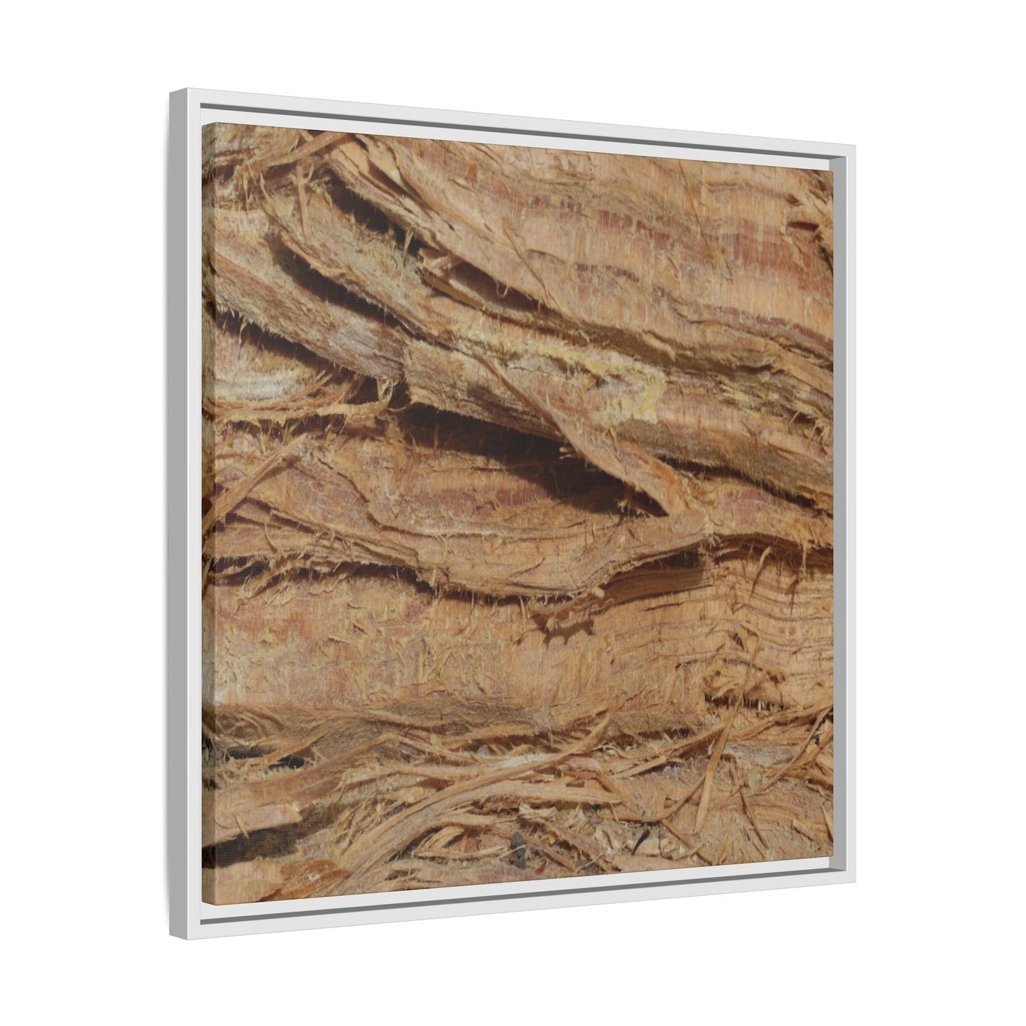 Splintered Bark - Unique Stretched Canvas Wall Art - Art By Earth