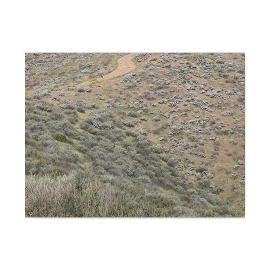 Desert Path Through Sagebrush - Unique Frameless Canvas Wall Art - Art By Earth