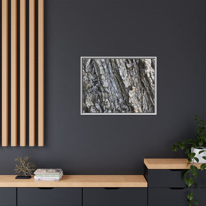 Twisted Textures - Unique Stretched Canvas Wall Art - Art By Earth