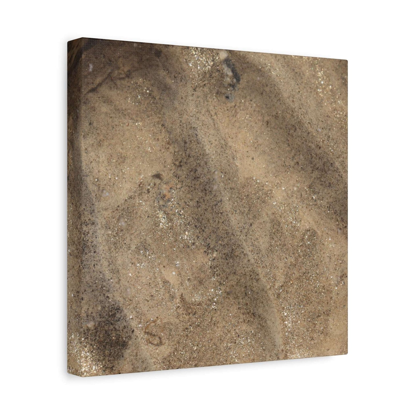 Shallow Waters - Unique Frameless Canvas Wall Art - Art By Earth