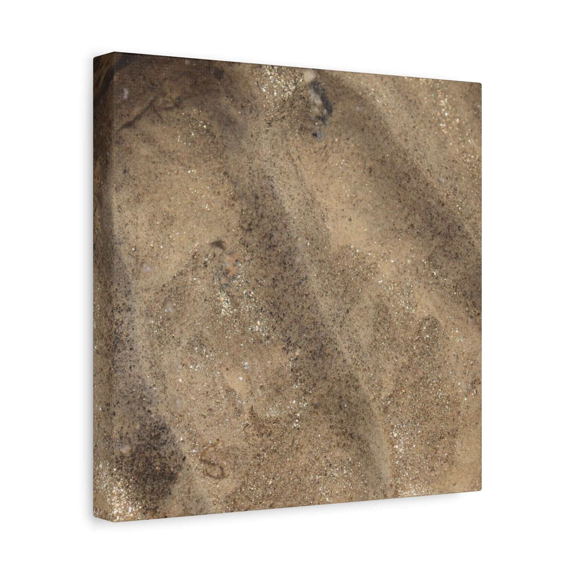 Shallow Waters - Unique Frameless Canvas Wall Art - Art By Earth
