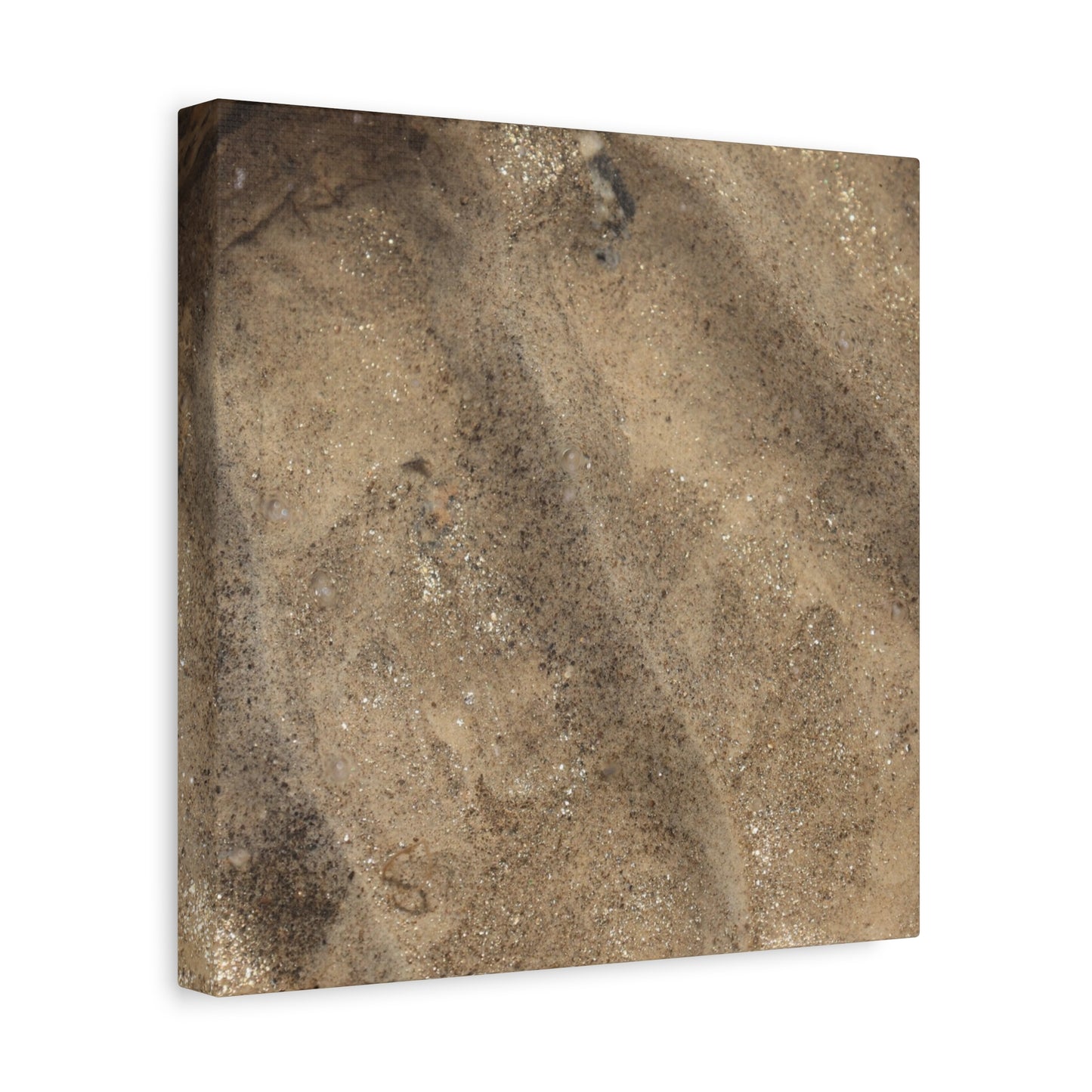 Shallow Waters - Unique Frameless Canvas Wall Art - Art By Earth