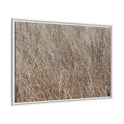 Dry Grass Symphony - Unique Stretched Canvas Wall Art - Art By Earth